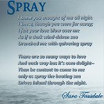 Spray