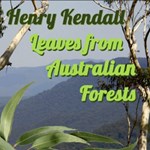 Leaves from Australian Forests