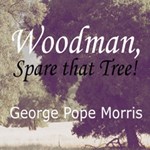 Woodman, Spare that Tree!