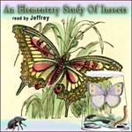 Elementary Study of Insects