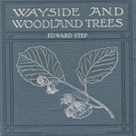 Wayside and Woodland Trees: Pocket guide to the British Sylva