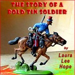 Story of a Bold Tin Soldier