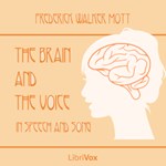 Brain and the Voice in Speech and Song