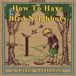 How To Have Bird Neighbors