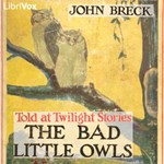 Bad Little Owls