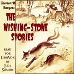 Wishing-Stone Stories (Version 2)