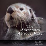 Adventures of Paddy Beaver, The