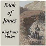 Bible (KJV) NT 20: James