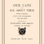 Our Cats and All About Them