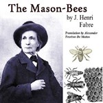 Mason-Bees