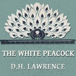 White Peacock