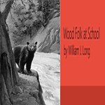 Wood Folk at School